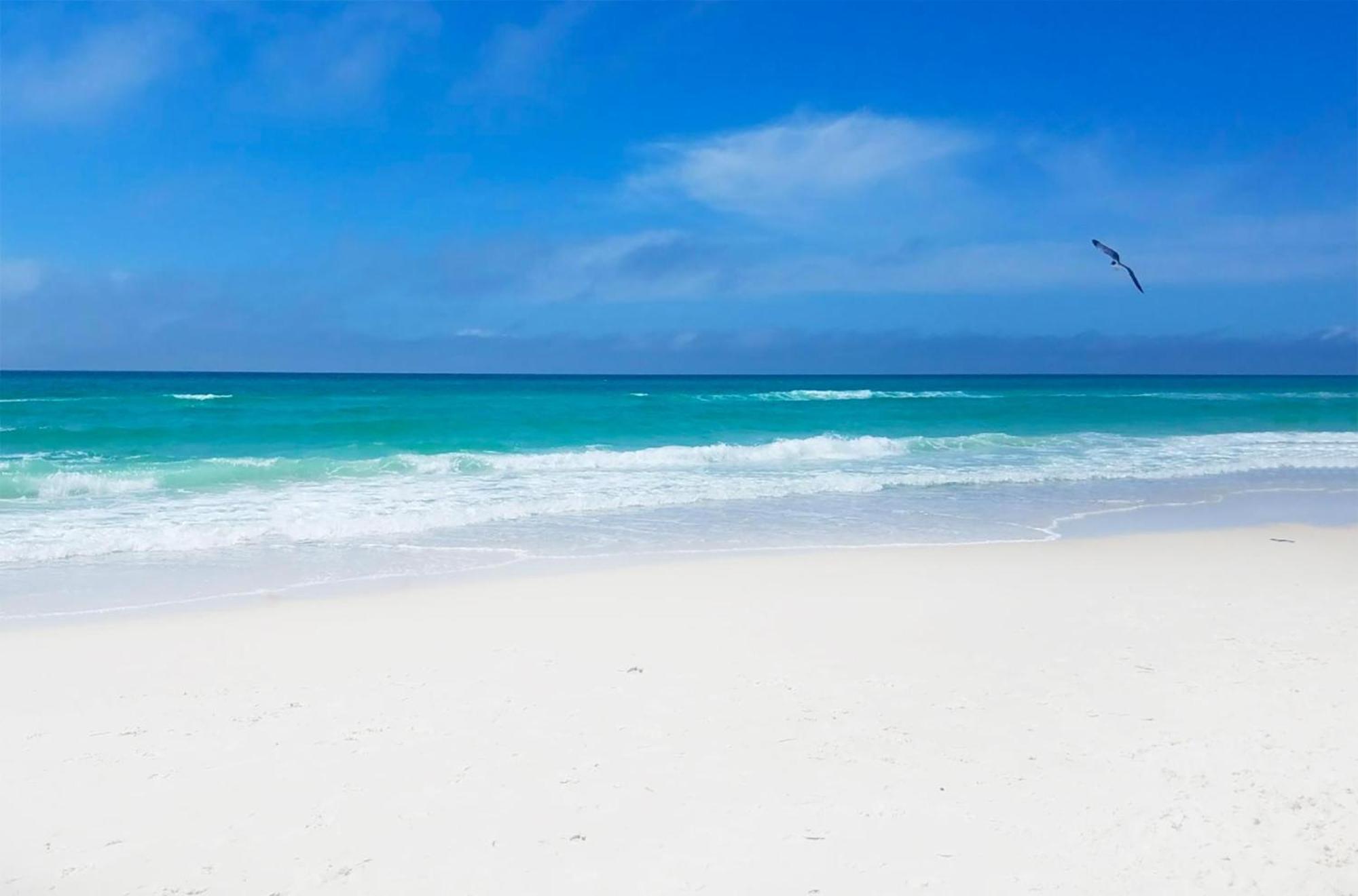 Summerhouse 502a Panama City Beach